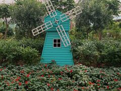 -南宫五洲植物乐园