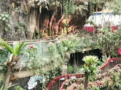 -正佳雨林生态植物园