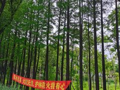 -嘉北郊野公园