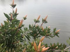 -杭州湾海上花田景区