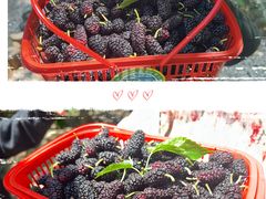 -丝绸小镇荻港古村