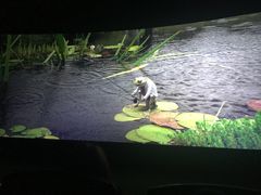 -上影国际影城(普陀绿地缤纷城店)