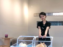 -怪兽屋·羊驼·猫咖·狗咖(俊华广场店)