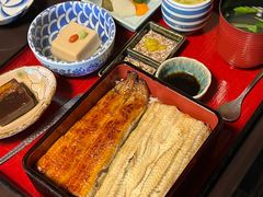-料亭菊水楼