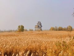 -野鸭湖国家湿地公园