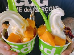 -Salud撒露欧洲冻酸奶(蓝色港湾店)