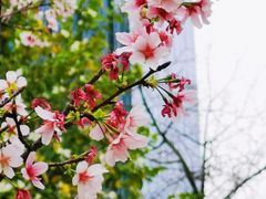 -文华公园(禅城区)