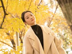 -三里屯东五街银杏大道