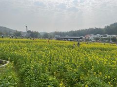 -红山村