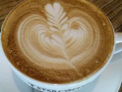 -D STAR COFFEE帝星咖啡