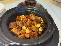 -鸽小宝(深圳首店)