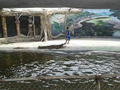 android_upload_pic-白洋淀景区