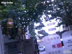 东瀛二-东瀛国际造型