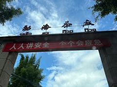 -大益茶庭(勐海会员中心店)