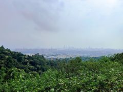 -火炉山森林公园