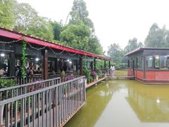 -老杨砂锅鱼庄
