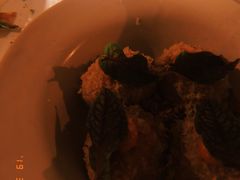 -Ocean's Table 欧舍