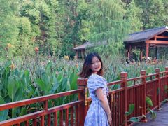 -重庆彩云湖湿地公园