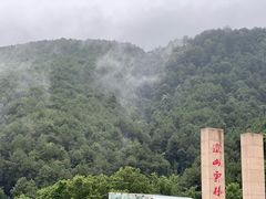 -铁山坪森林公园