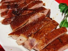 -春梅里卤鹅馆·47年老字号(中山路店)