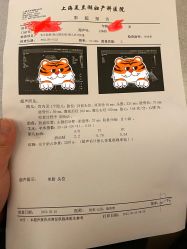 -上海美兰湖妇产科医院
