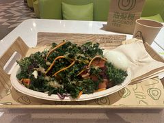 -油梨树 AVOCADO TREE(亮马桥店)