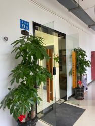 -涌泉妈咪树通乳·产后恢复