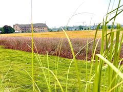 -中国天府农业博览园