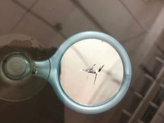 -鲨鱼皮汽车凹陷玻璃修复(静安店)