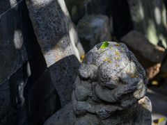 -南京市民俗博物馆(甘熙故居)