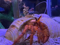 -太平洋海底世界