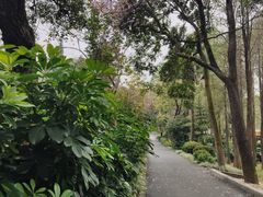 -广州市白云山风景名胜区