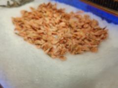 -福缘烤肉王自助(爱琴海-原比尔森店)