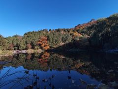 -香山公园