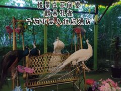 -中国科学院西双版纳热带植物园