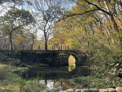 -句容茅山景区