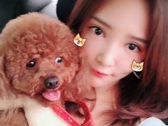 -伟伟宠物医院·CT影像中心·瑞派犬猫综合性门诊(汉口总院)