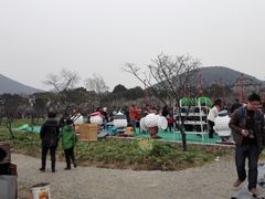 -香雪海