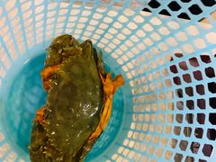 -庆余生平价生猛海鲜(海棠湾林旺夜市店)