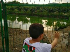 -呼吸森林·生态农庄农家乐私房菜