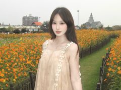 -荷兰花海