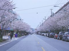 -永乐路-路侧停车场