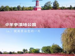 -羊亭河湿地公园