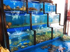 水产区-老东镇啤酒屋海鲜加工·蒸汽海鲜·海鲜烧烤(台东店)