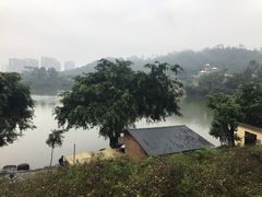 景点-珠海圆明新园