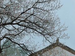 -杏花村文化旅游区