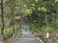 -广州白江湖森林公园