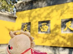 -南宋胡记(杭州灵隐寺店)