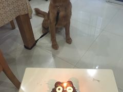 -GANSO元祖食品(滨湖万达店)