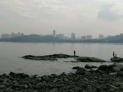 -野狸岛
